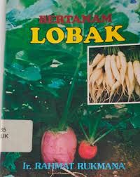Image of bertanam lobak